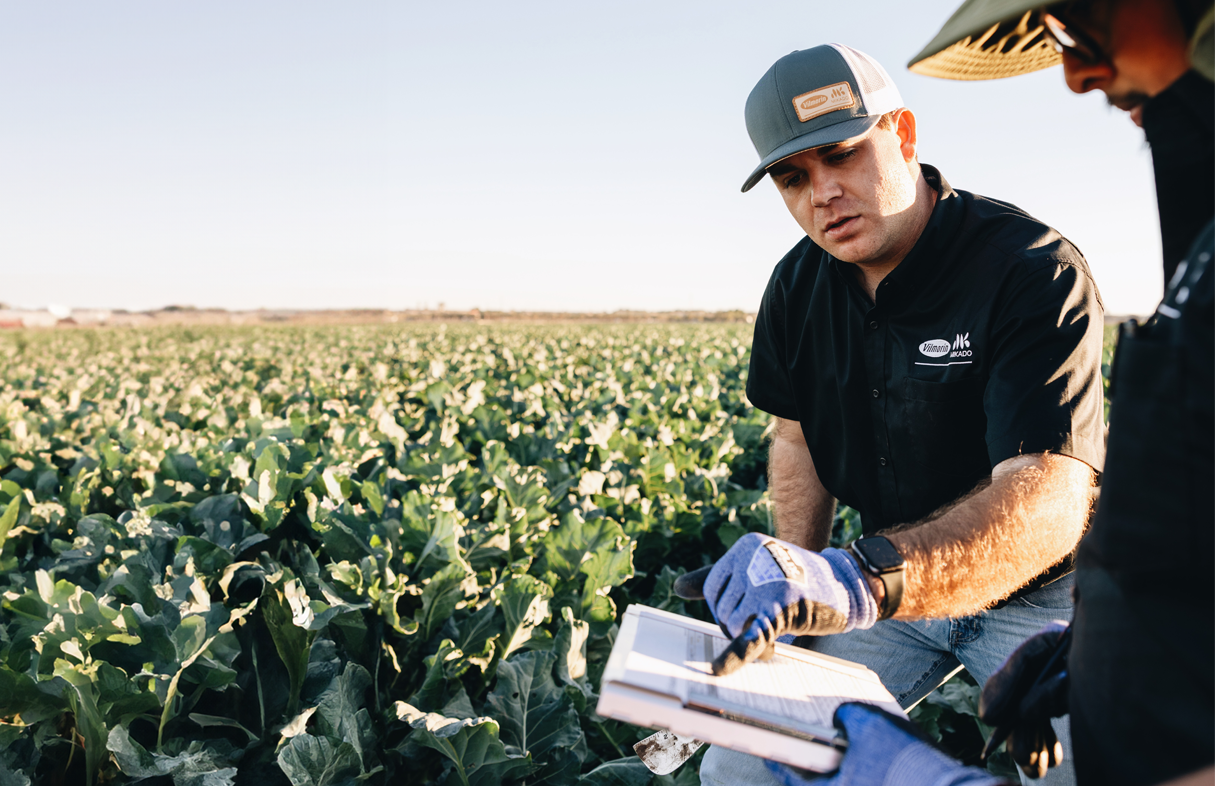 世界中のどこでも、あなたの近くで