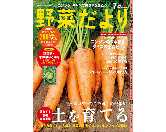 野菜だより 2025年7月夏号 表紙