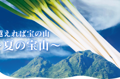 【特集】夏を越せば宝の山　～夏の宝山
