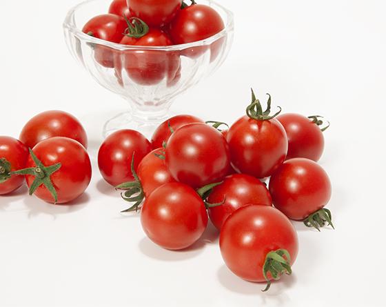 商品案内「トマト」