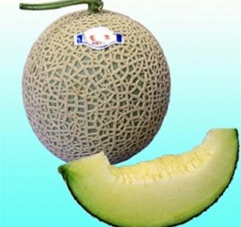 メロン