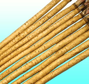 あずま早太り白肌