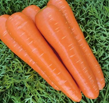 クリスティーヌ