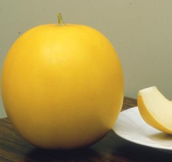 ＦＲエリザベス