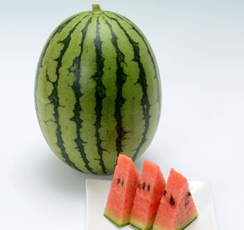 ＦＲマダーボール