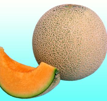 サマールピアレッド