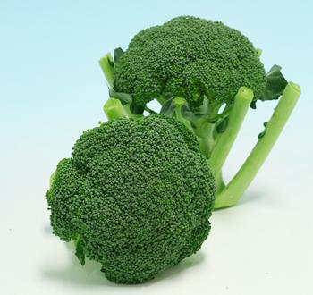 スピードドーム052