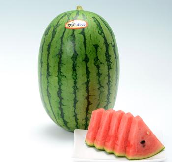 マダーボール６６