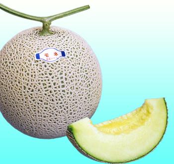 モネ早春晩秋系811