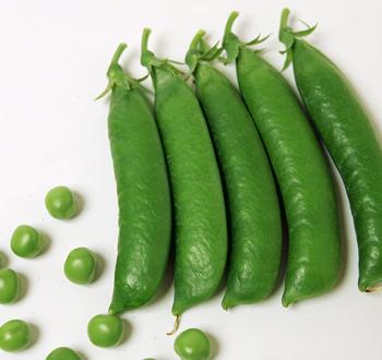 スーパーグリーン