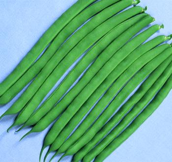 スーパーステイヤー