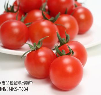 ウルとま®TYみわく