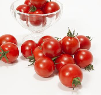 ウルとま®みわた